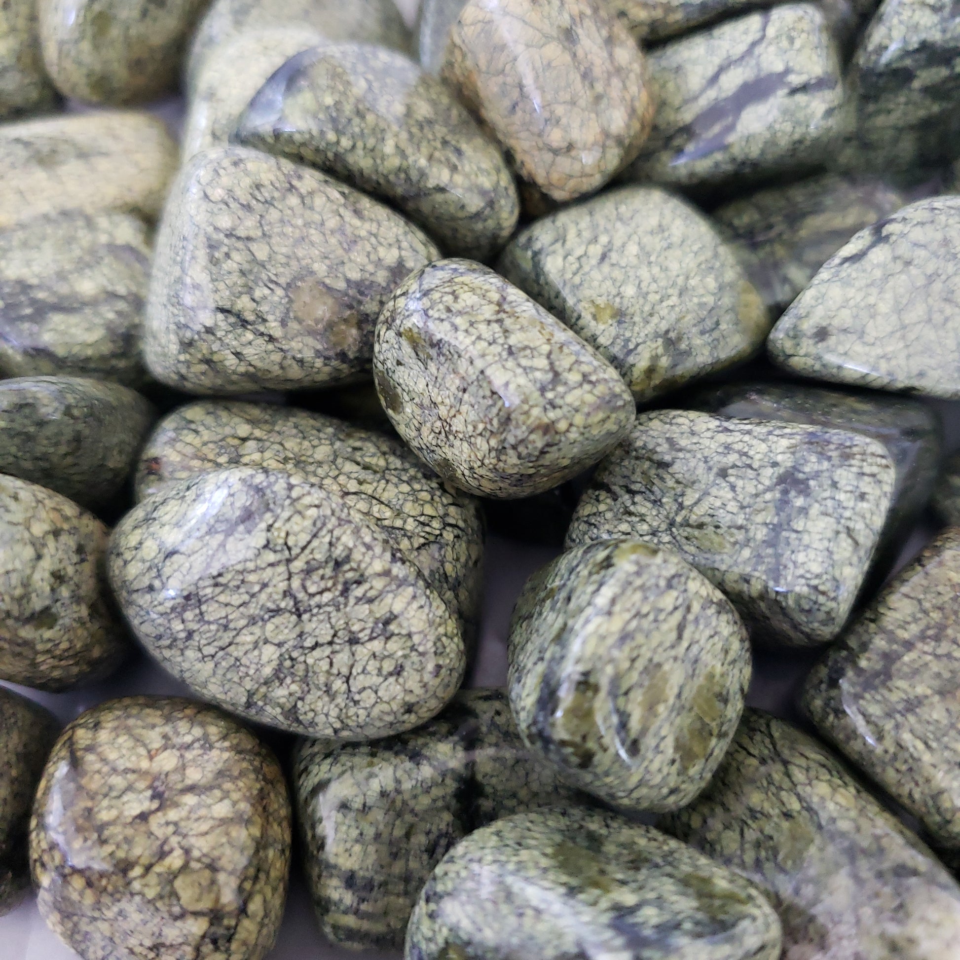 Asterite Heavenly Healing