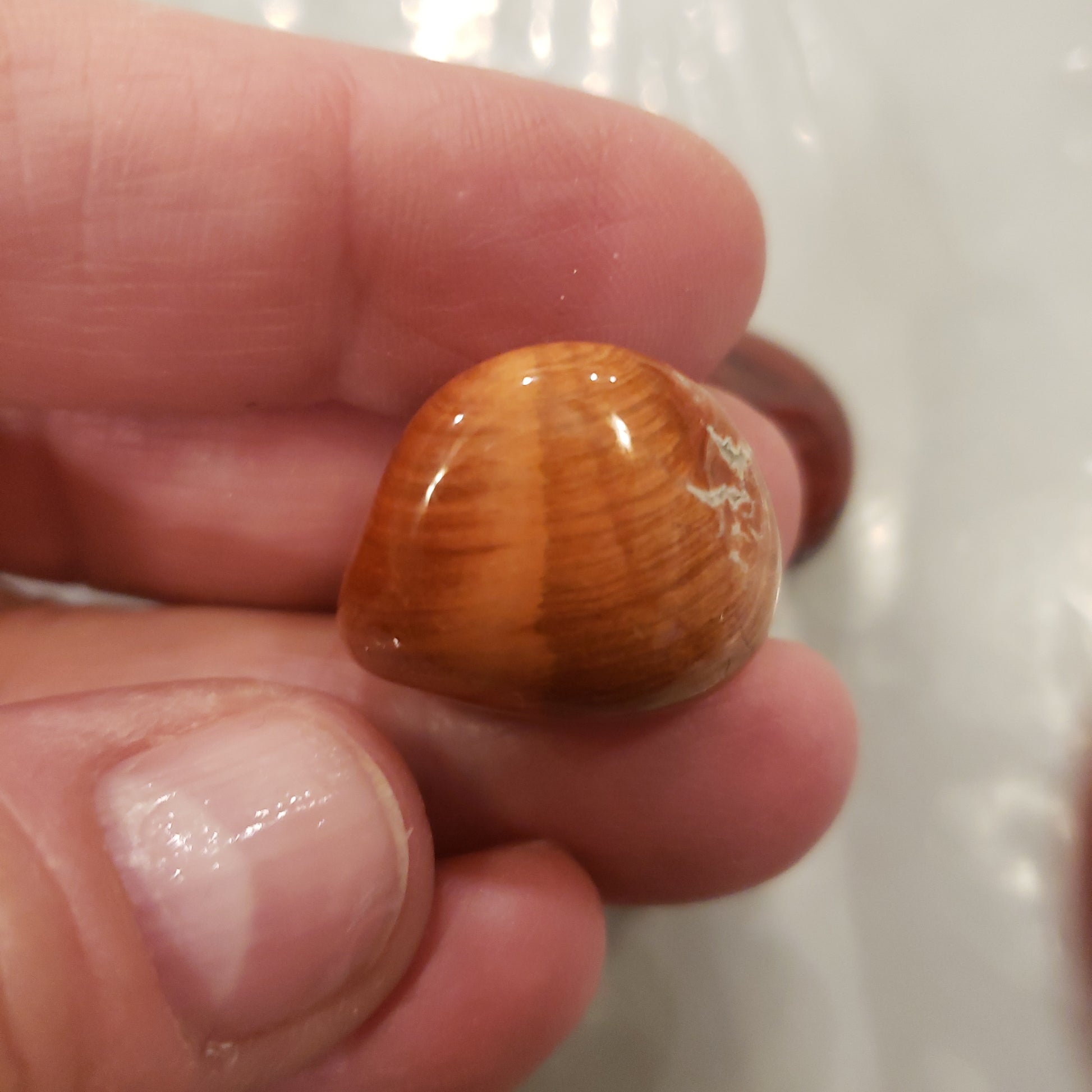 Convated jasper Heavenly Healing