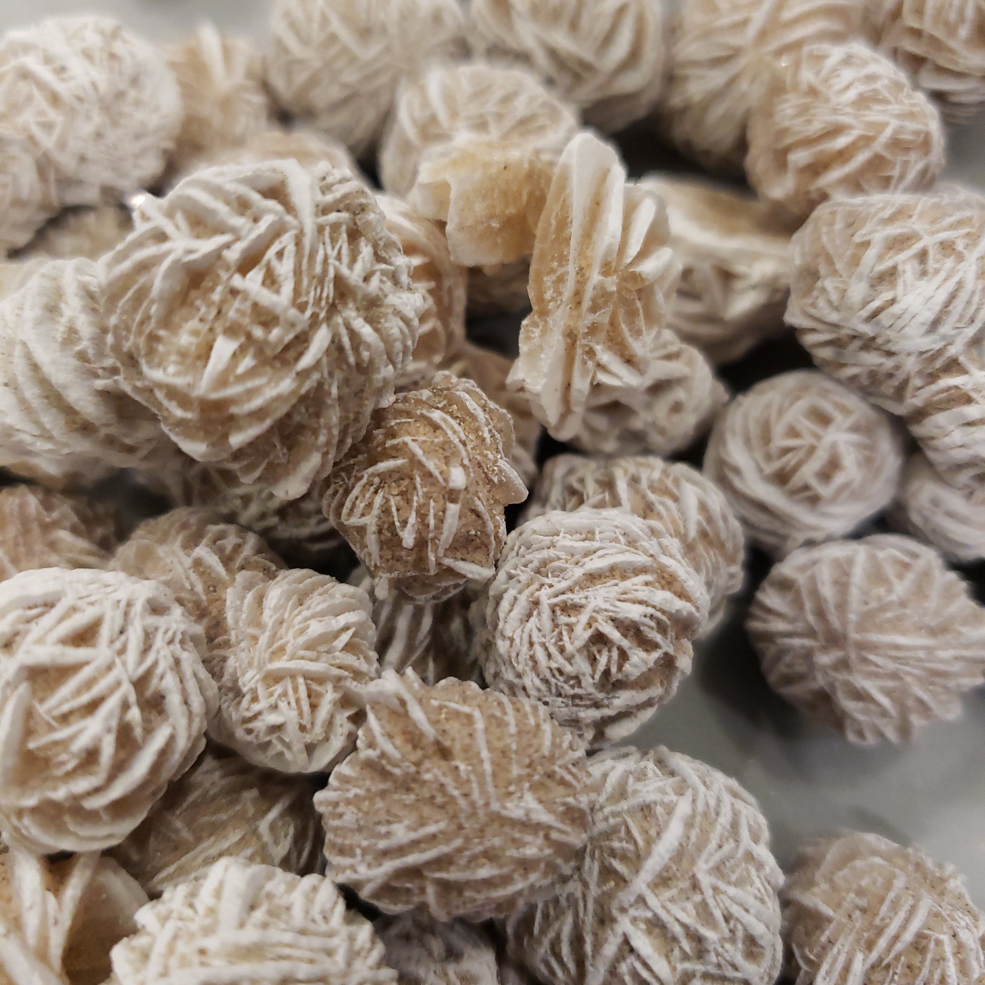 Desert Rose Heavenly Healing