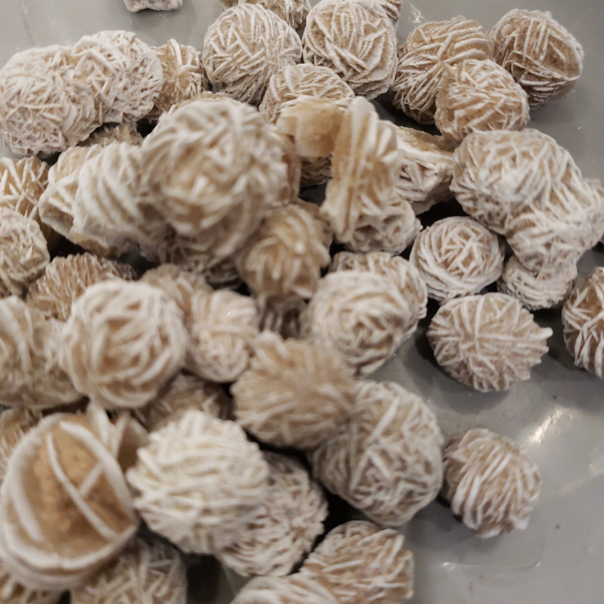 Desert Rose Heavenly Healing