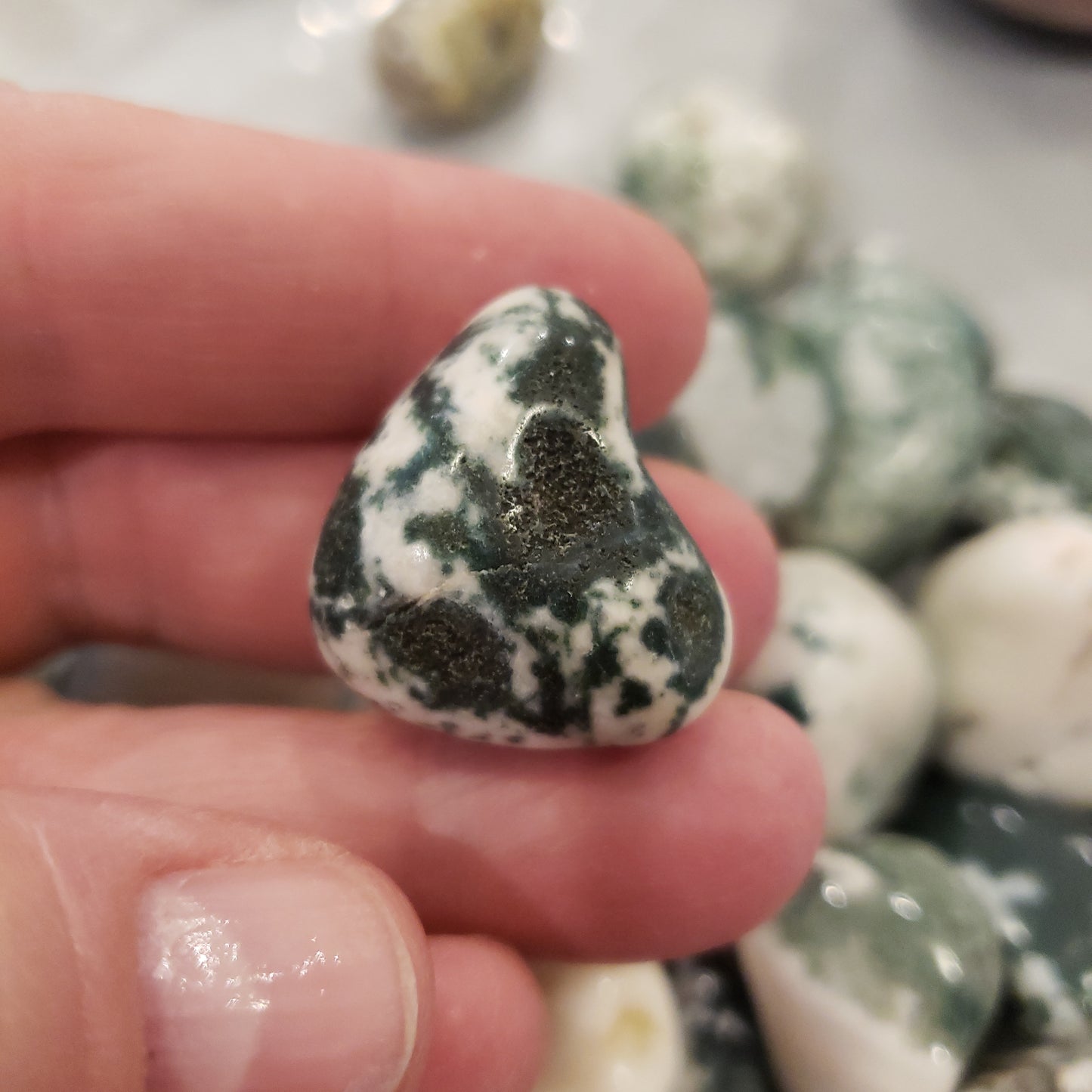 Tree Agate Heavenly Healing