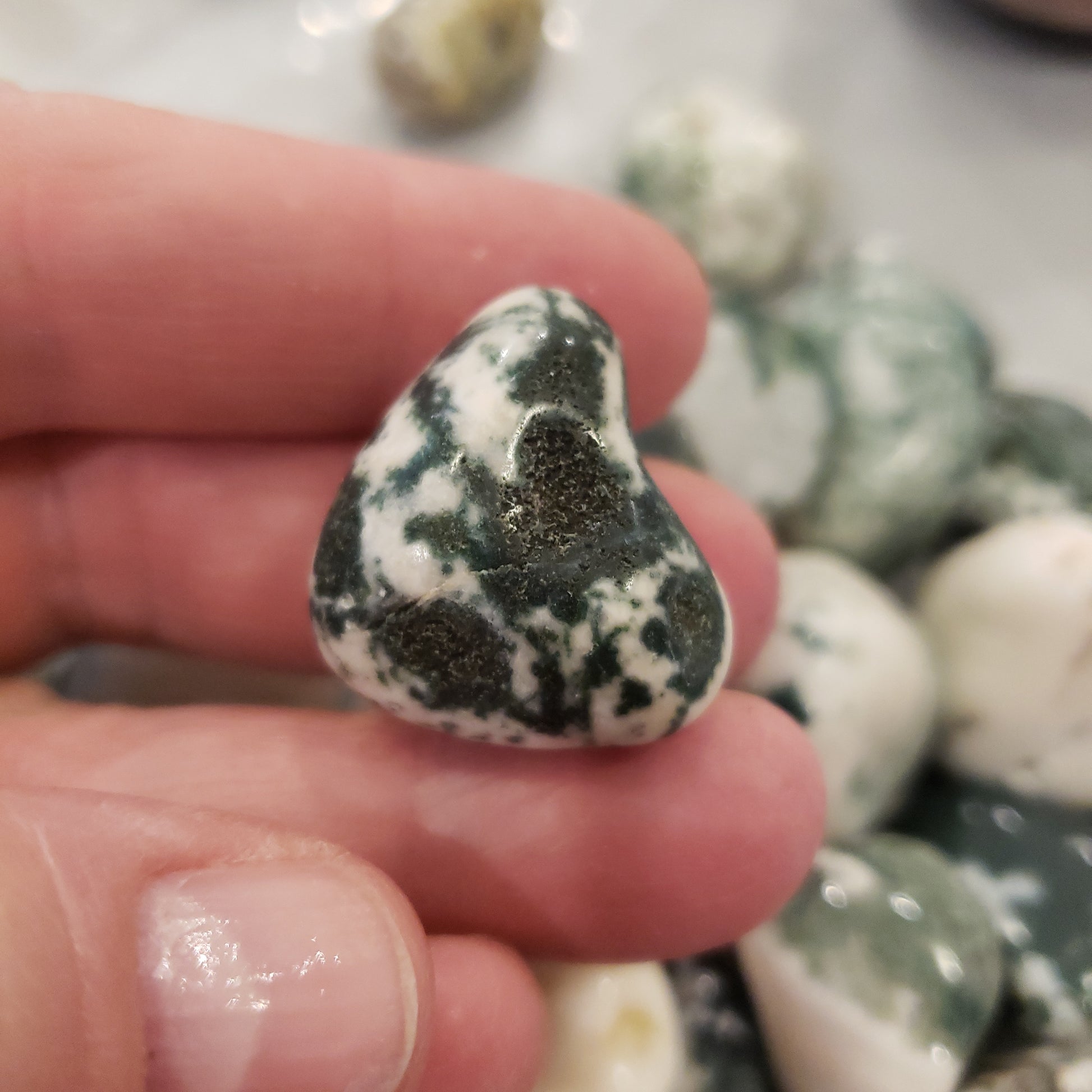 Tree Agate Heavenly Healing