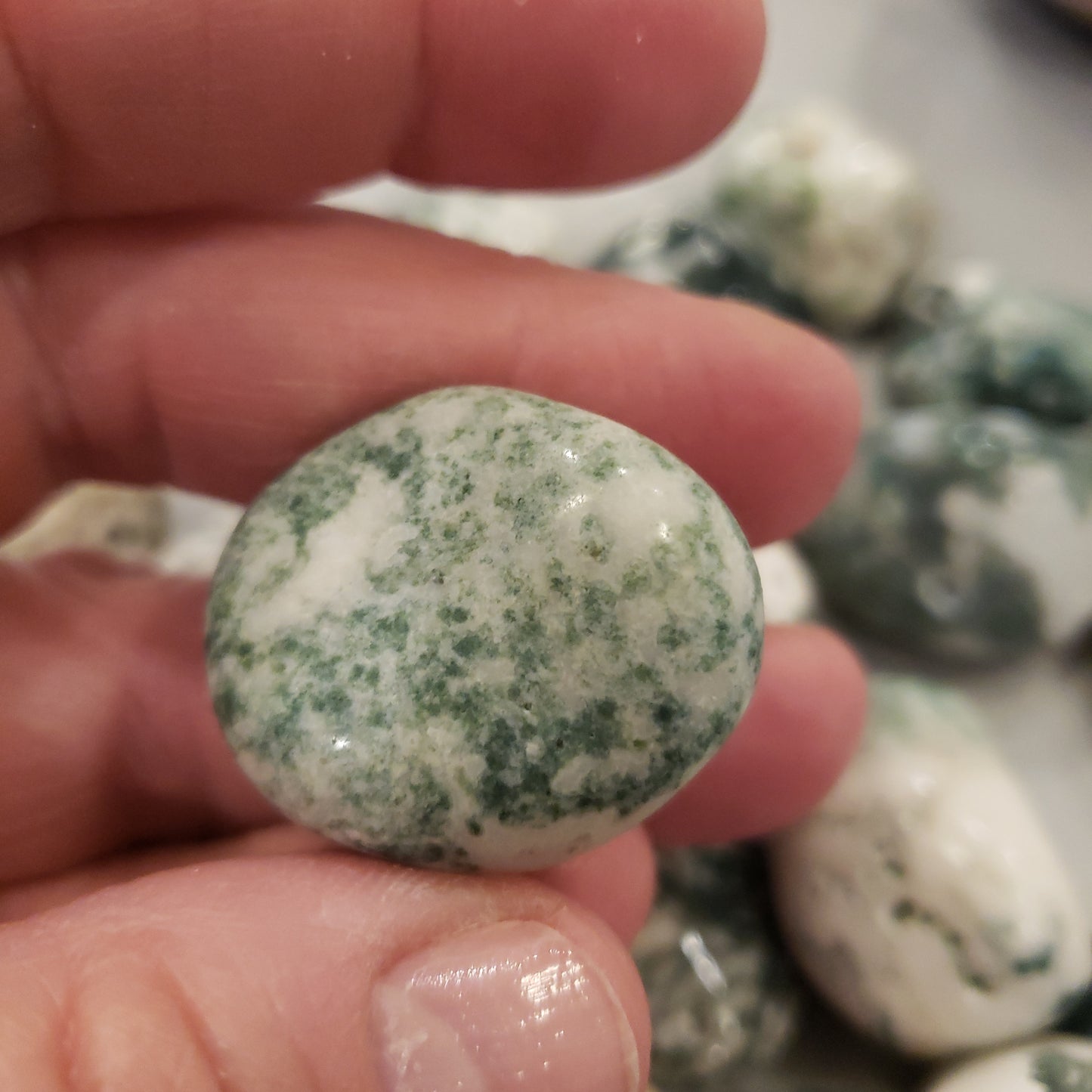 Tree Agate Heavenly Healing