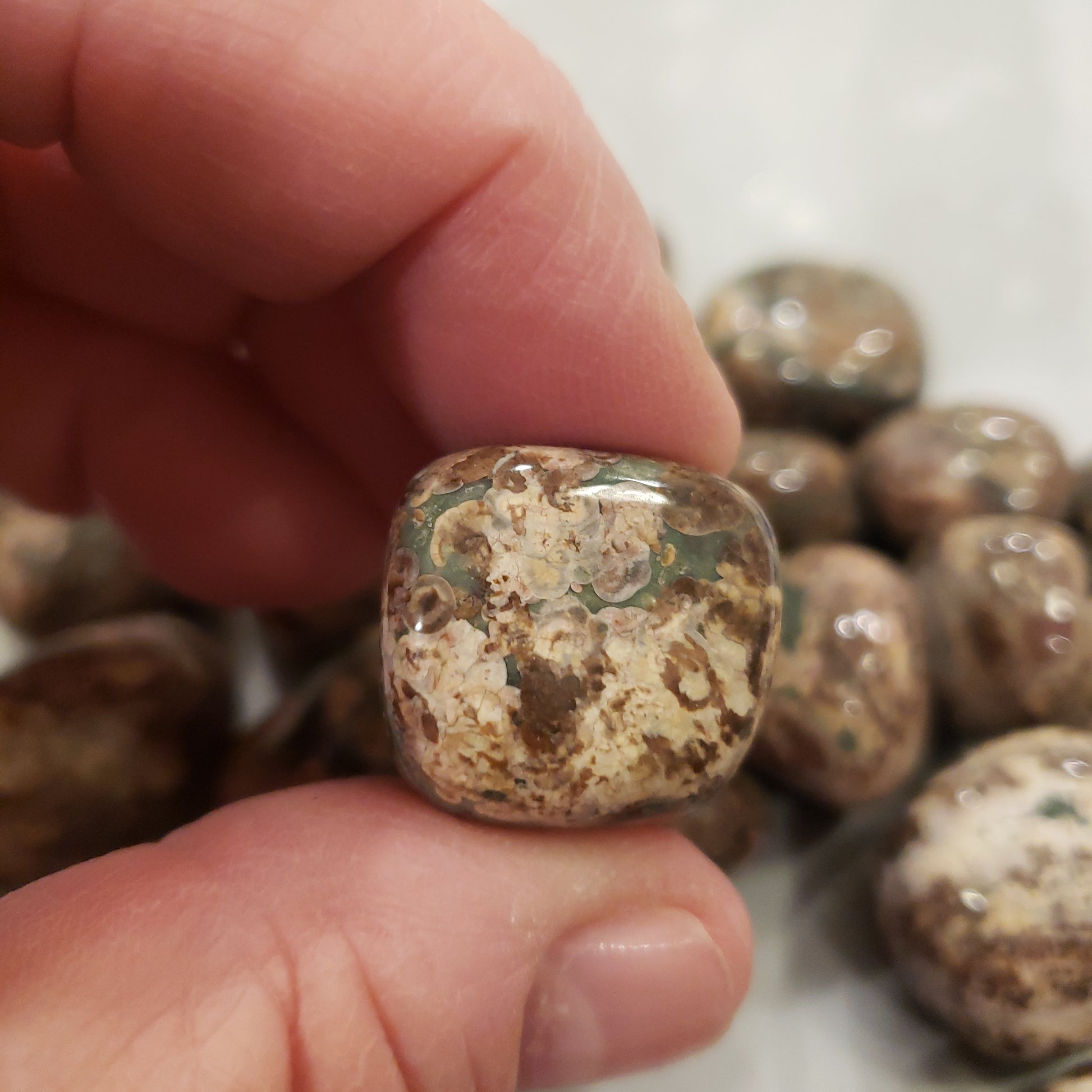 Green Leopardskin Jasper Heavenly Healing