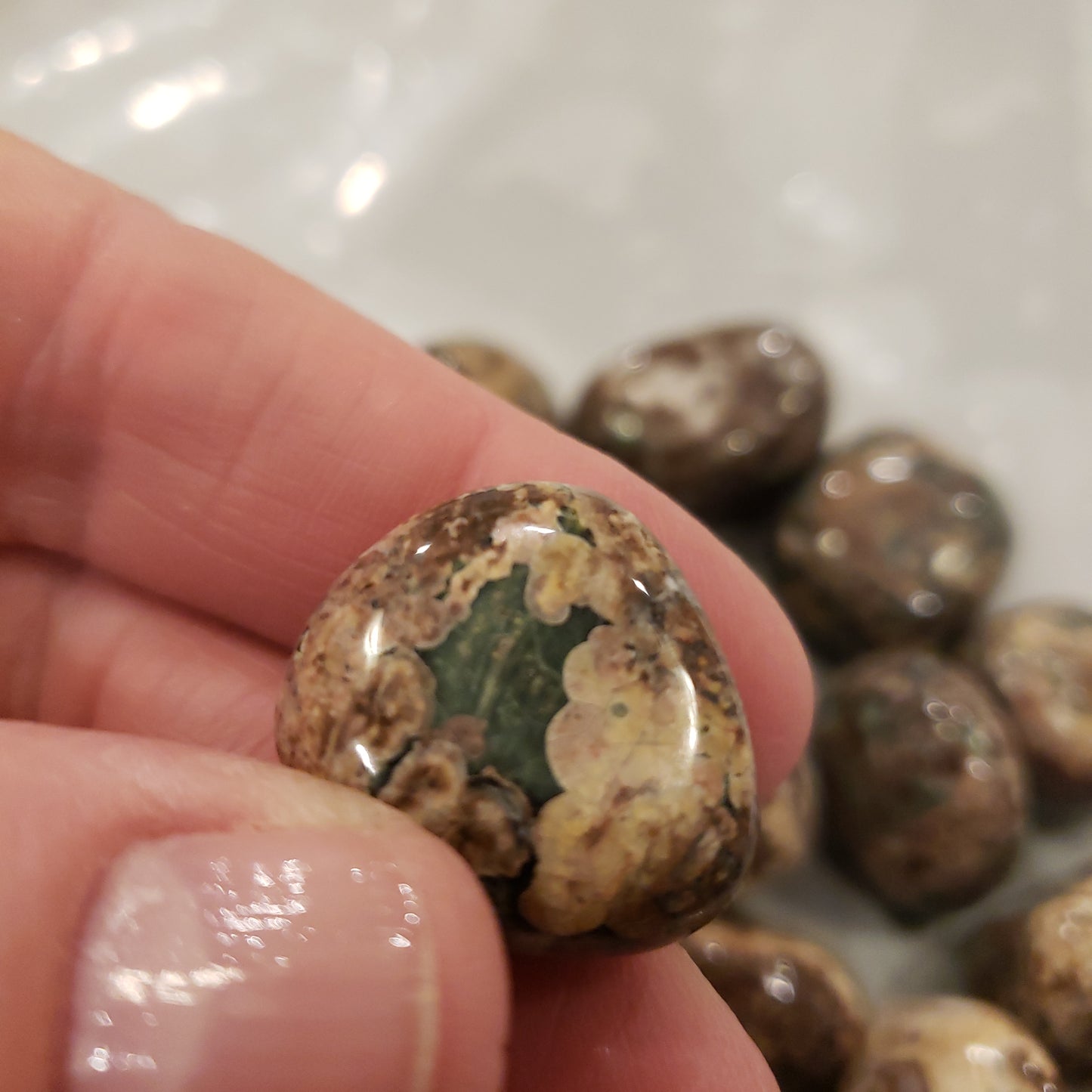 Green Leopardskin Jasper Heavenly Healing