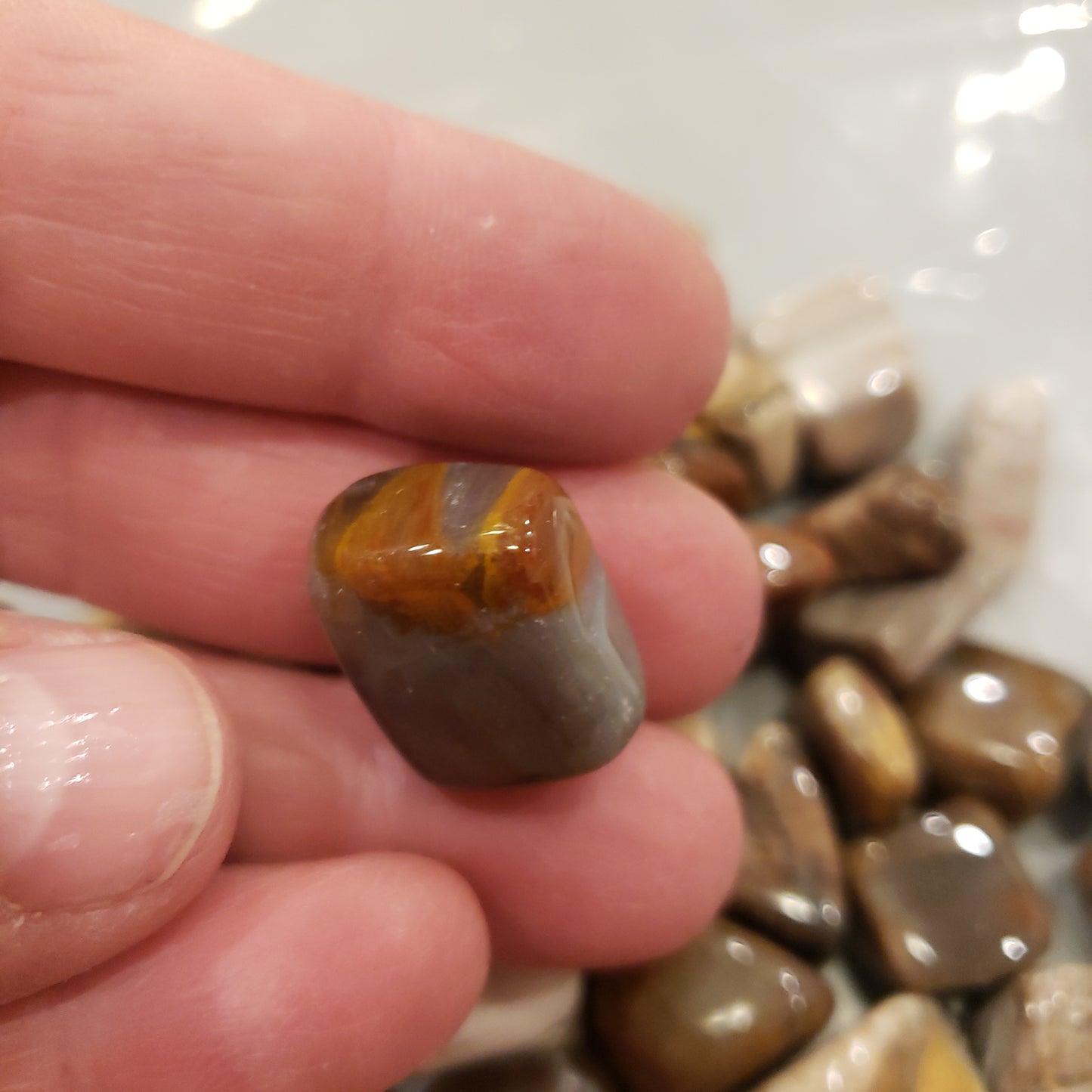 Petrified Wood Heavenly Healing