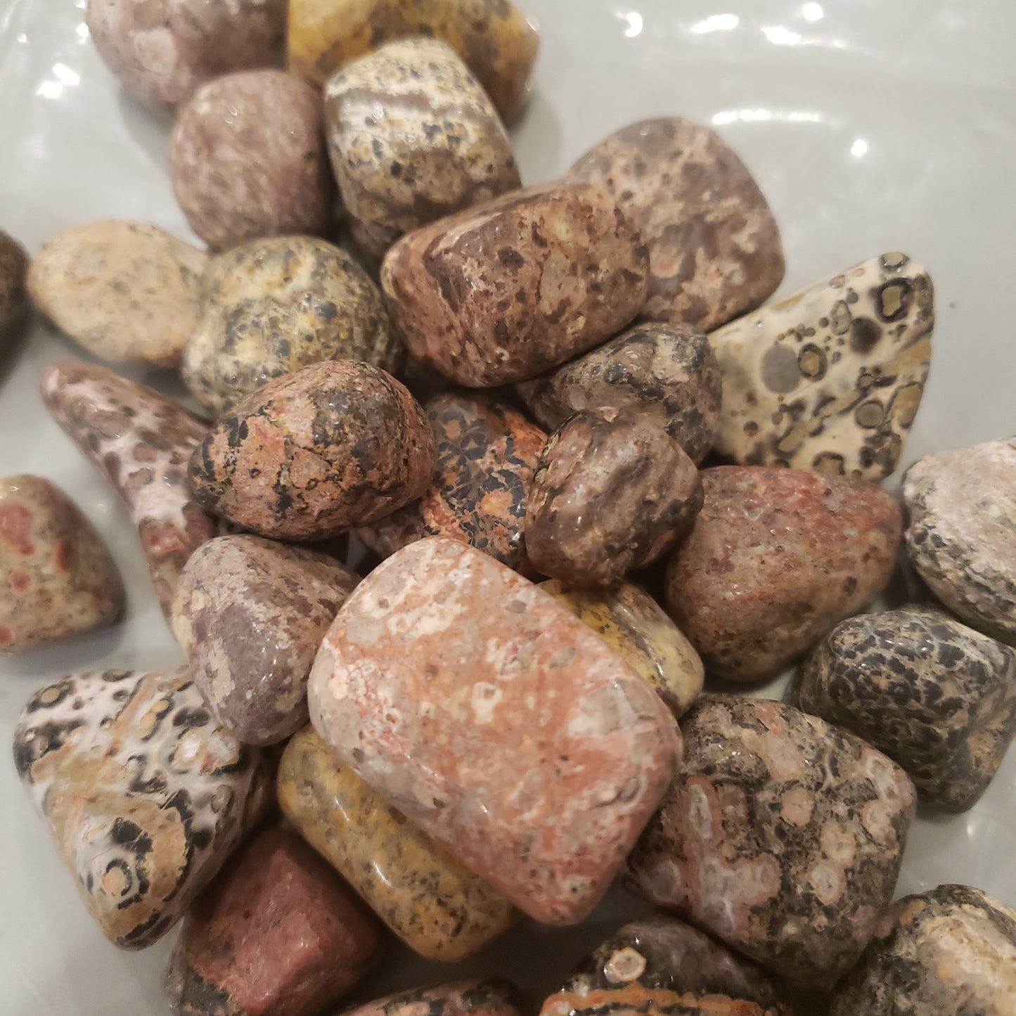 Leopard skin jasper Heavenly Healing