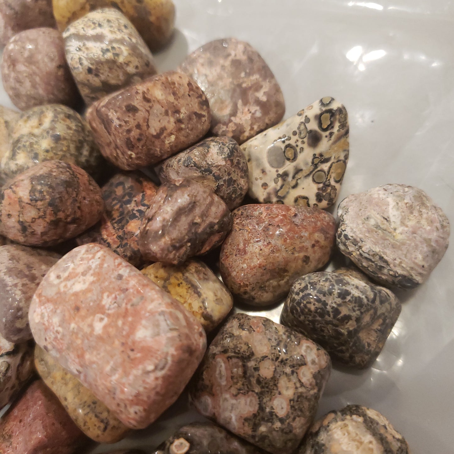 Leopard skin jasper Heavenly Healing