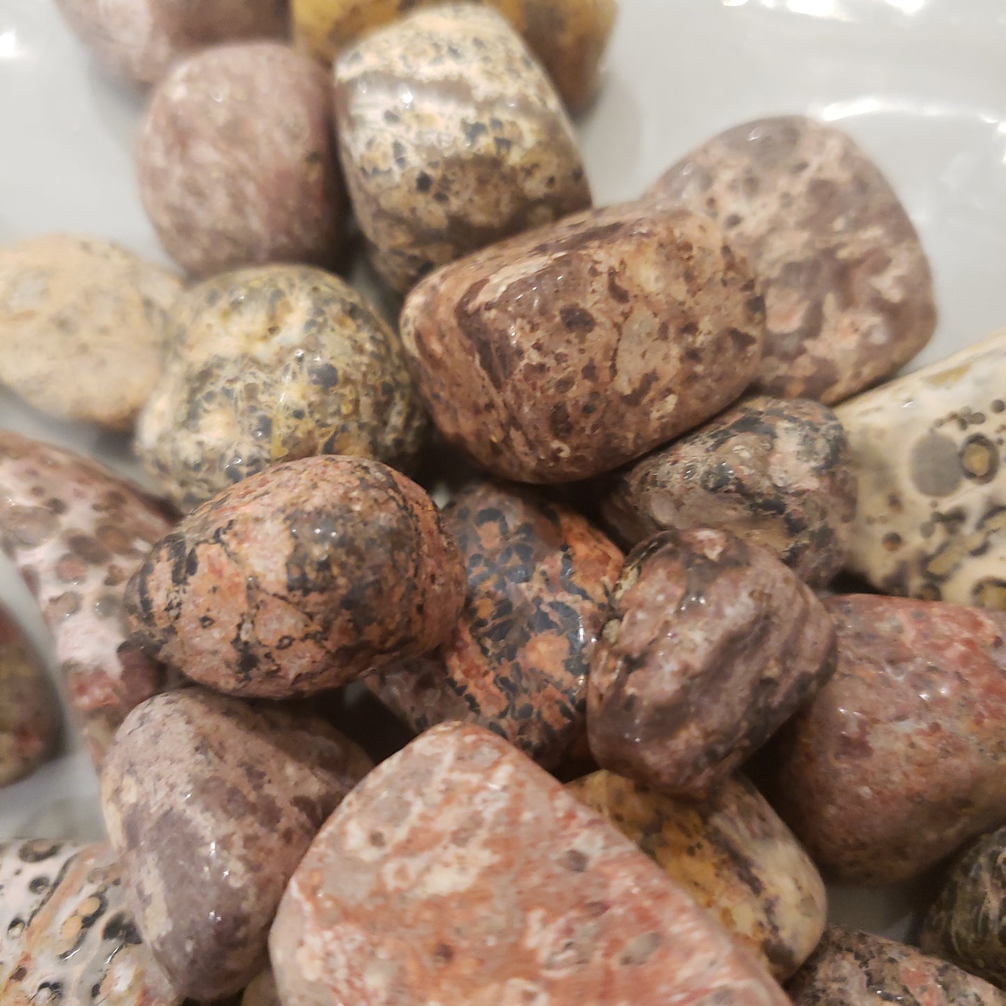 Leopard skin jasper Heavenly Healing