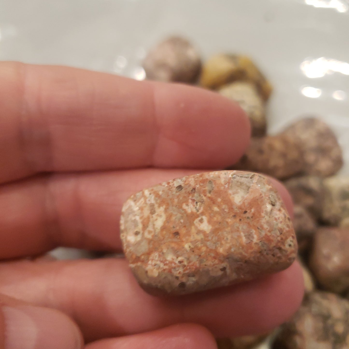 Leopard skin jasper Heavenly Healing