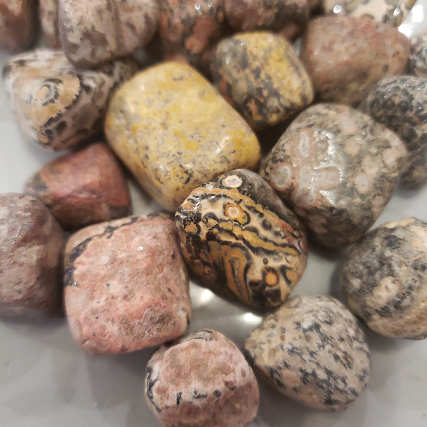 Leopard skin jasper Heavenly Healing