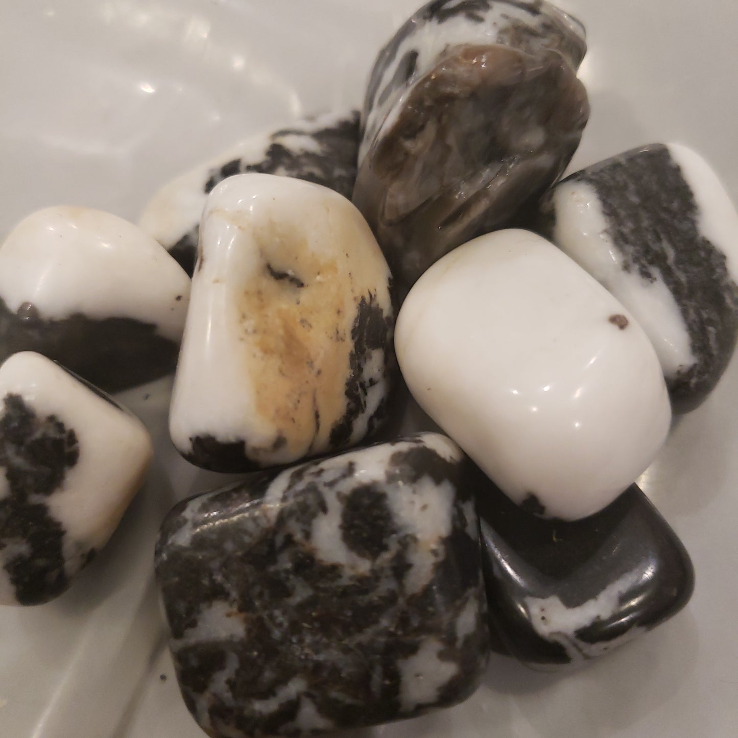 Zebra Jasper Heavenly Healing