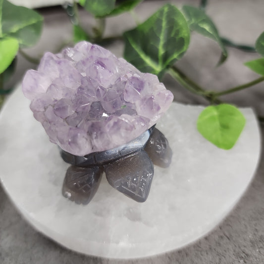 Turtles -Amethyst Heavenly Healing