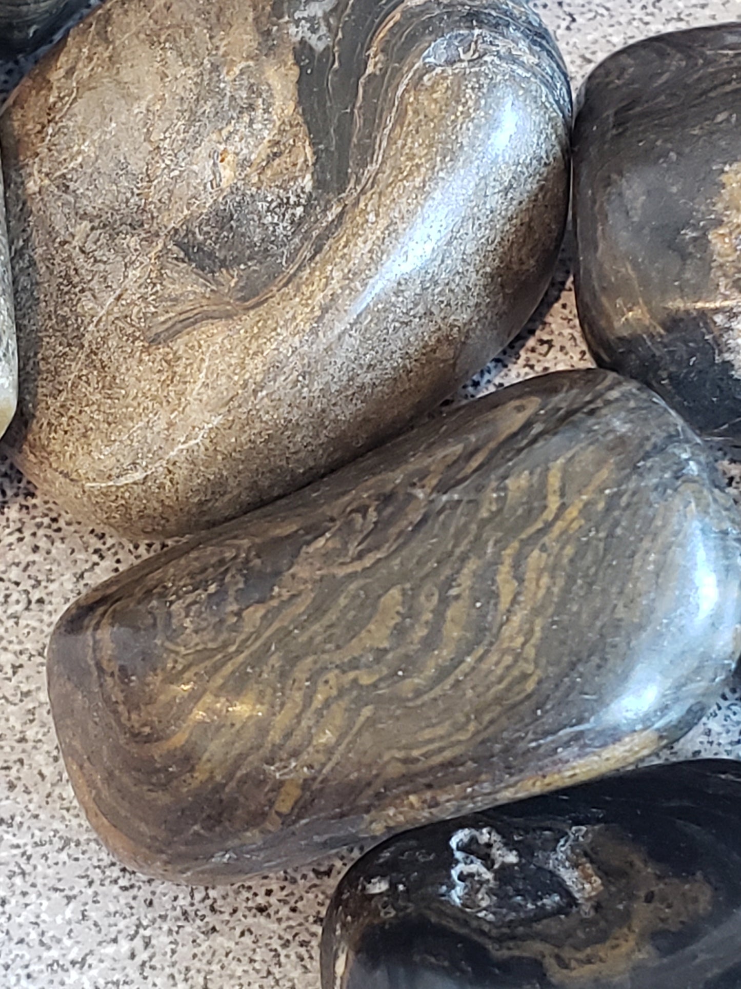 Stromatolite Heavenly Healing
