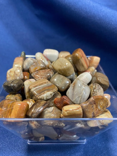 Petrified Wood Heavenly Healing