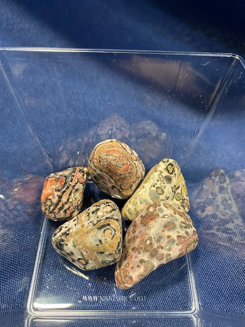 Leopard skin jasper Heavenly Healing