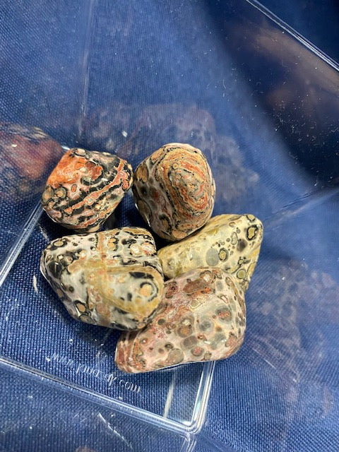 Leopard skin jasper Heavenly Healing