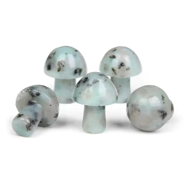 Mushroom Crystals Heavenly Healing