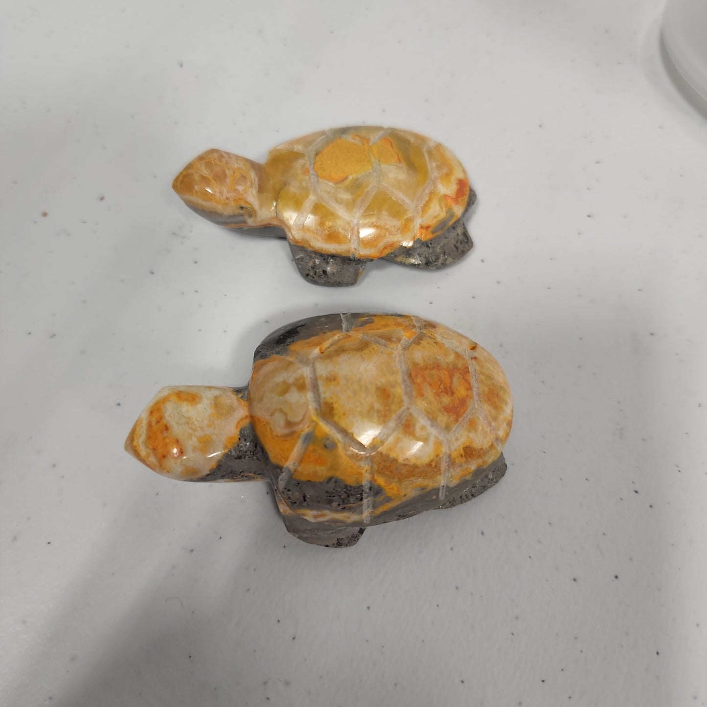 Bumblebee Turtle Stone Animal Heavenly Healing