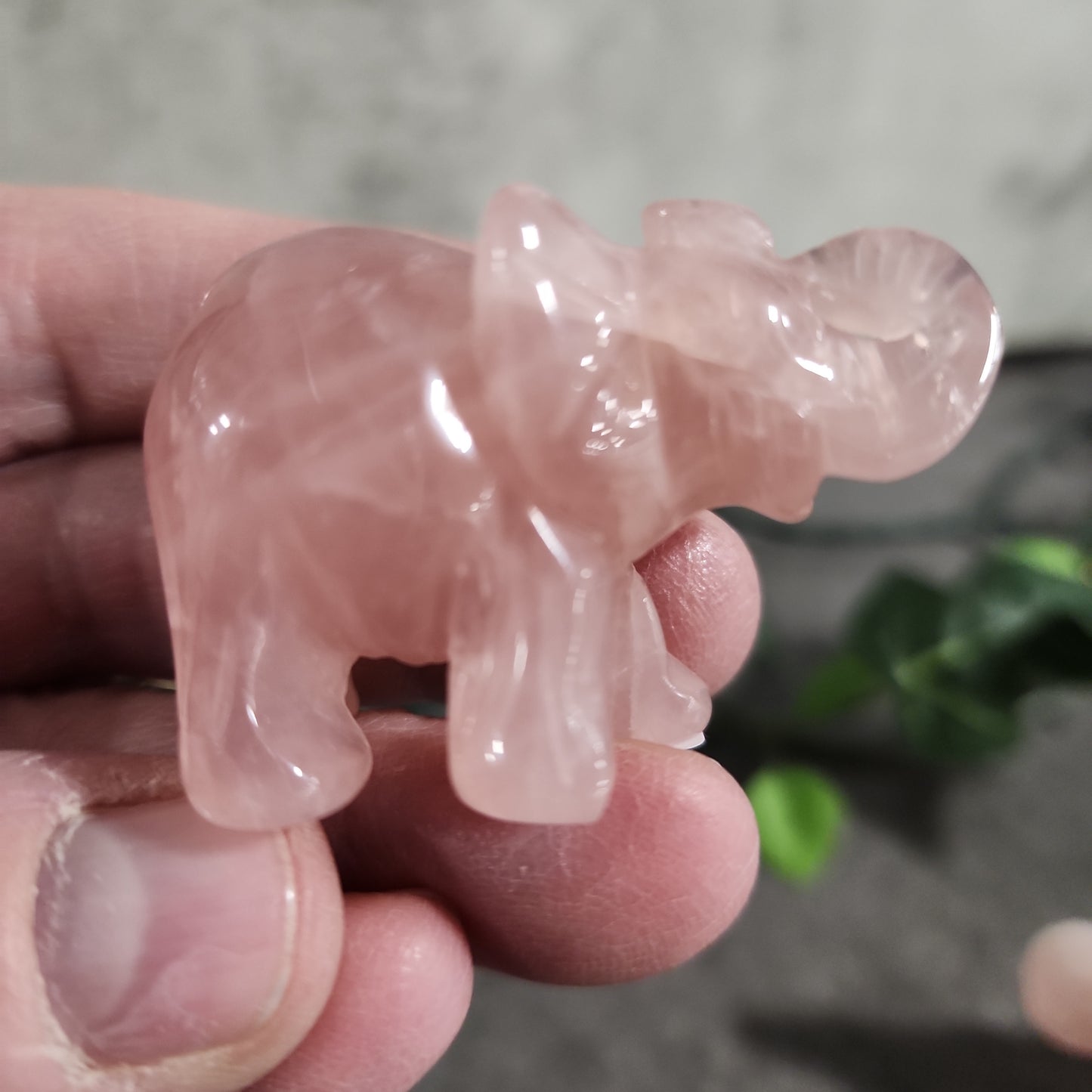 Rose Quartz Elephant Heavenly Healing