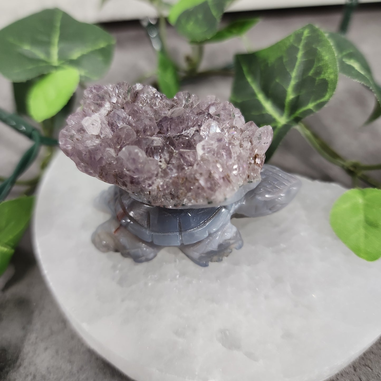 Turtles -Amethyst Heavenly Healing