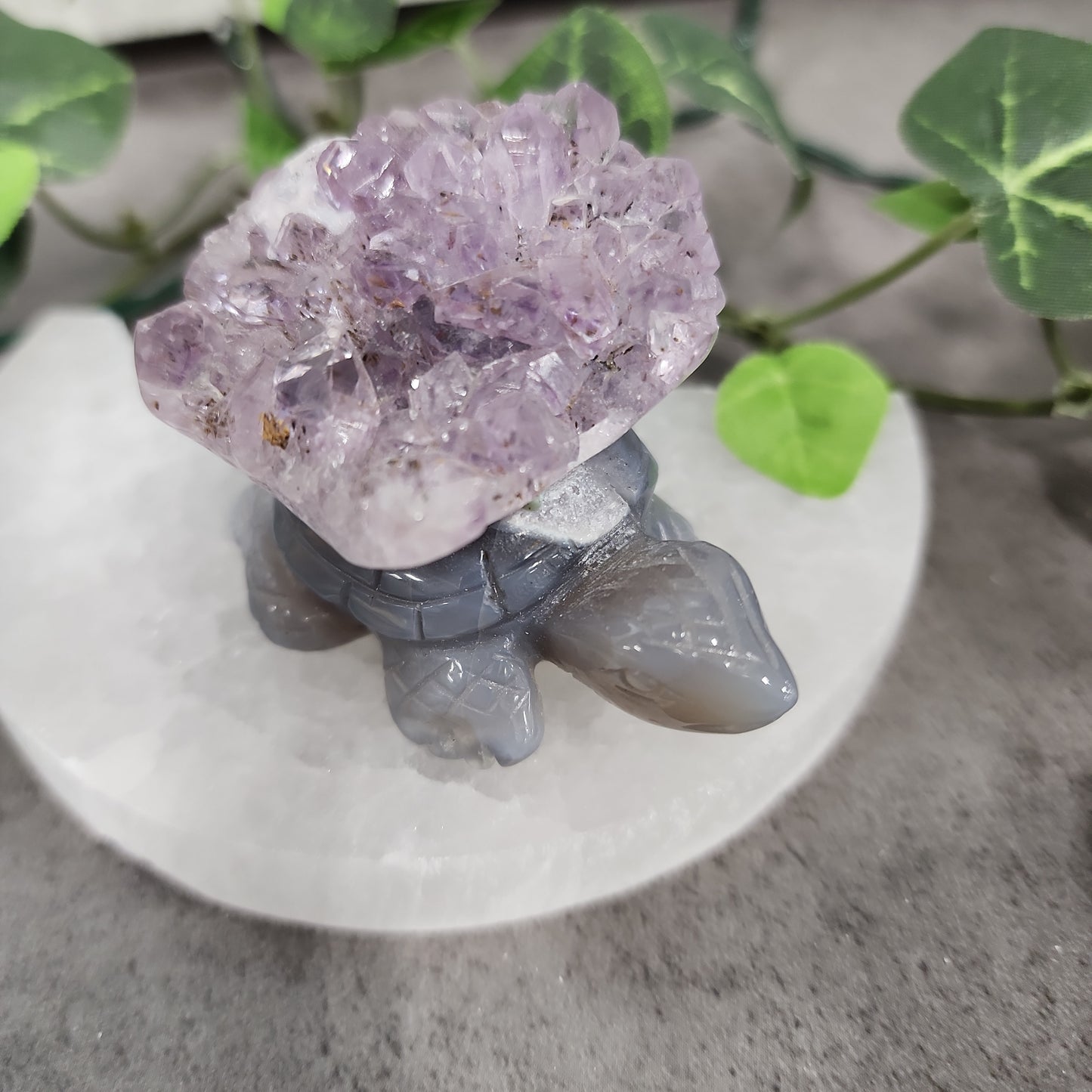 Turtles -Amethyst Heavenly Healing