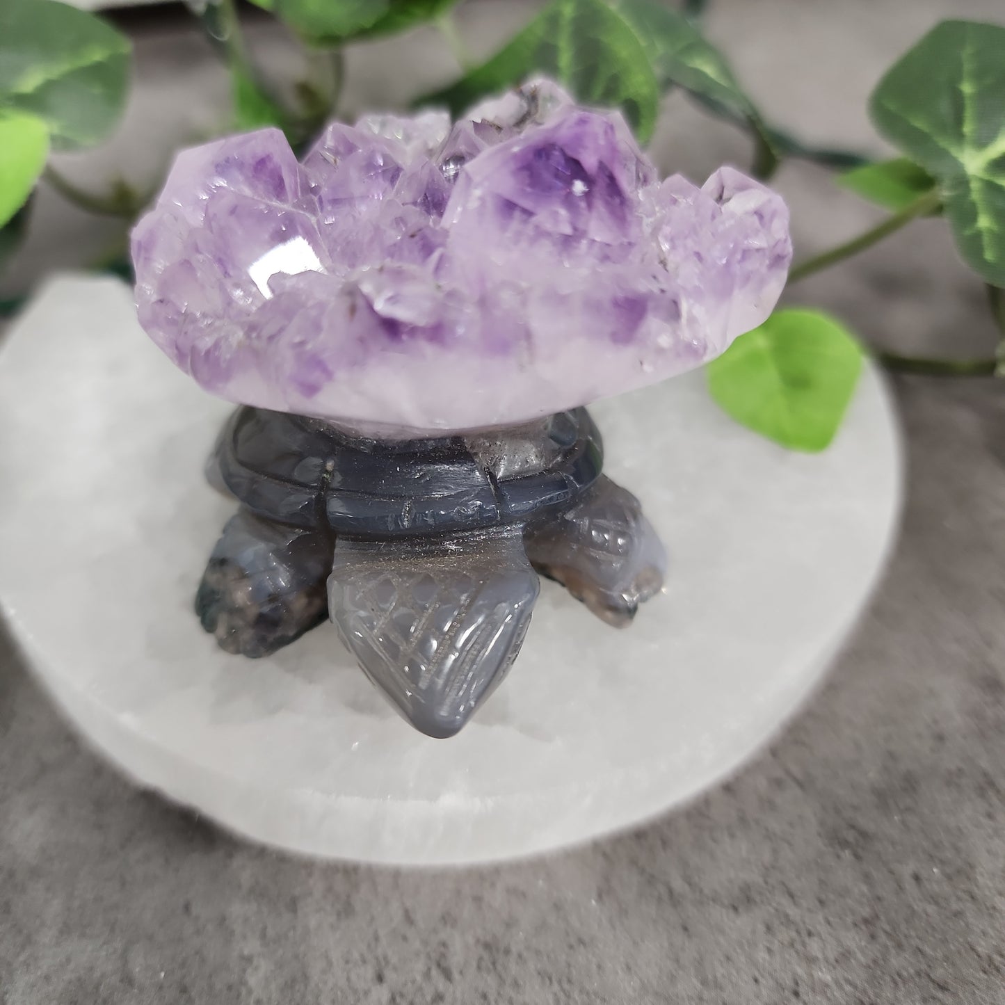 Turtles -Amethyst Heavenly Healing